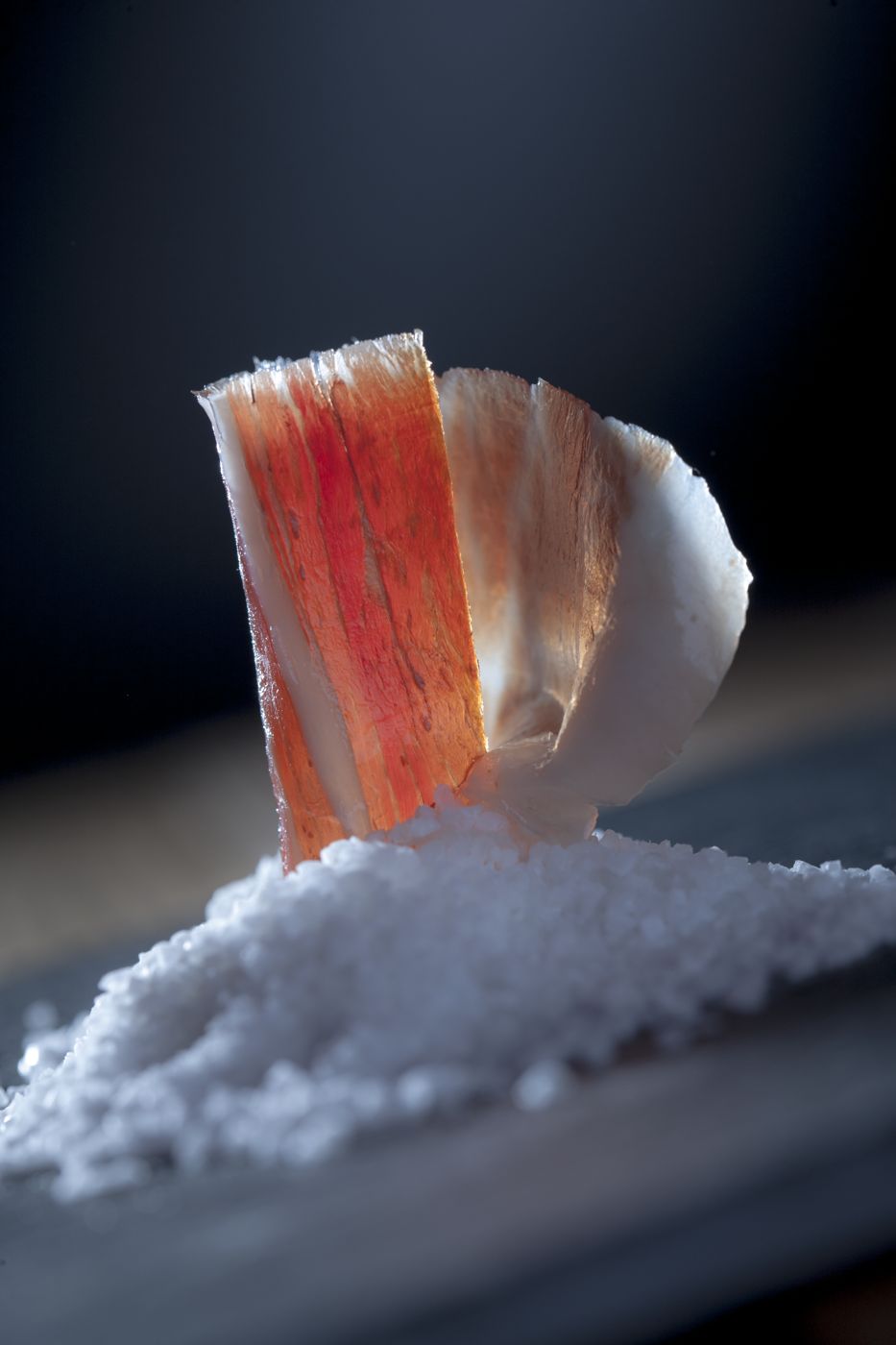 Loncha de jamón ibérico de bellota sobre sal marina