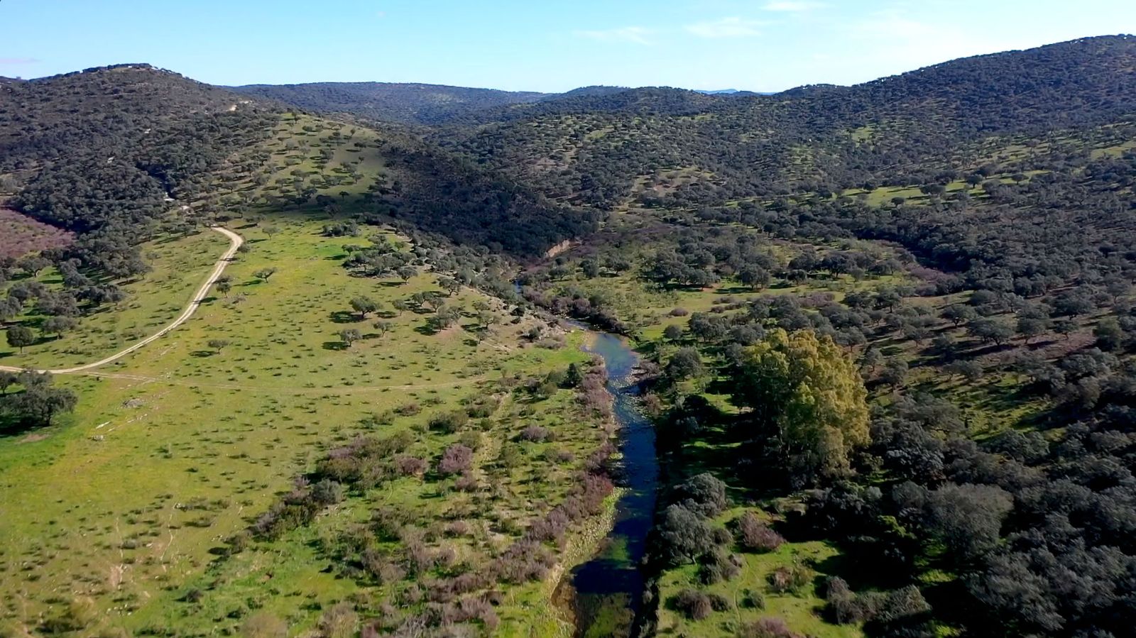 Vista aérea de la dehesa