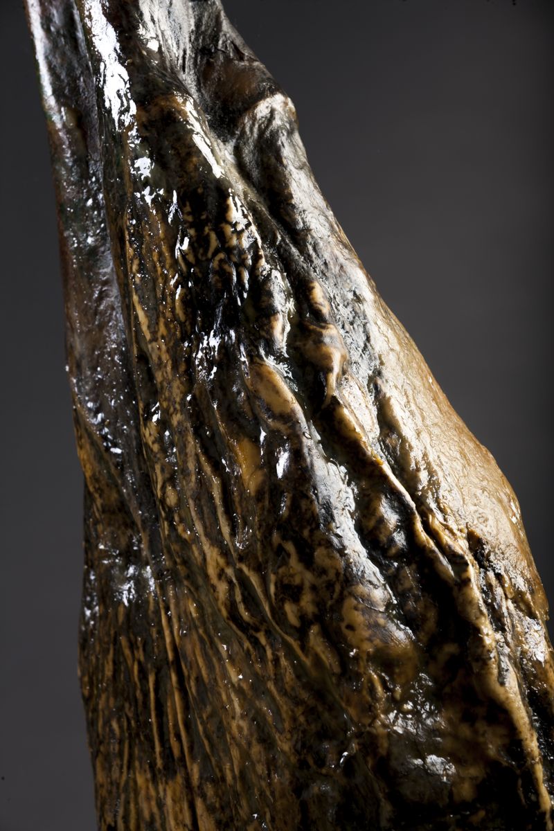 Jamón ibérico de bellota curado, en detalle