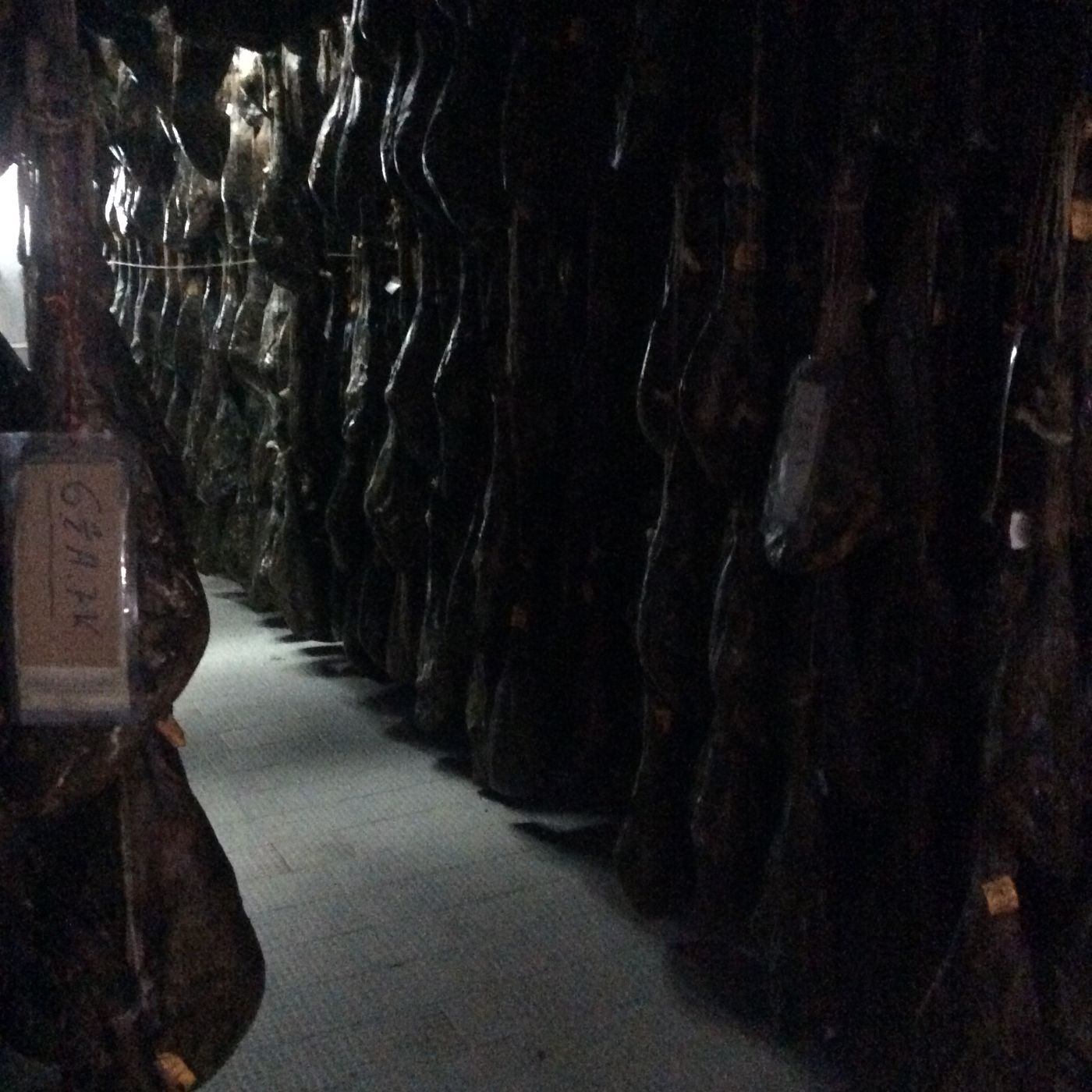 Hileras de paletas colgadas en el secadero